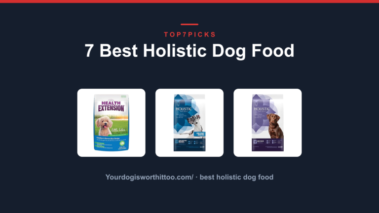 7 Best Holistic Dog Food
