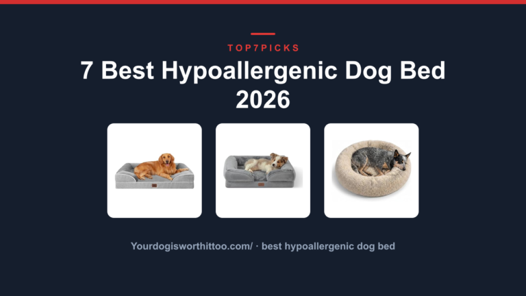 7 Best Hypoallergenic Dog Bed 2026