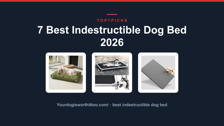 7 Best Indestructible Dog Bed 2026