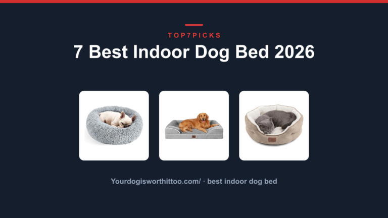 7 Best Indoor Dog Bed 2026