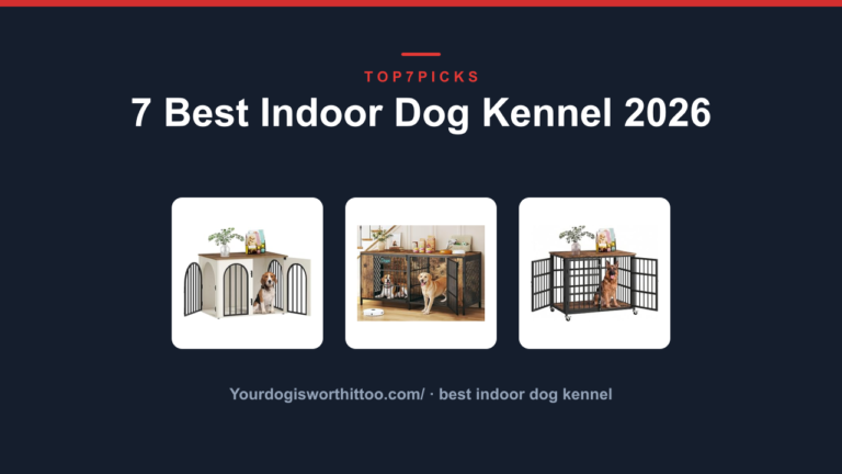 7 Best Indoor Dog Kennel 2026