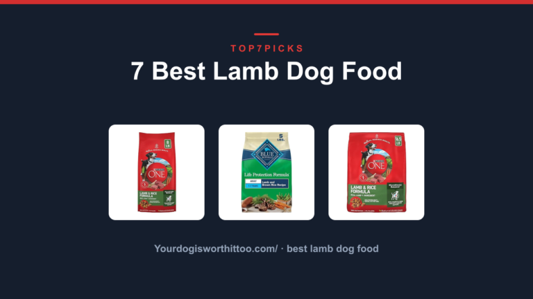 7 Best Lamb Dog Food