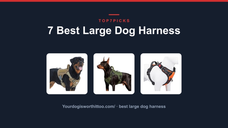 7 Best Large Dog Harness