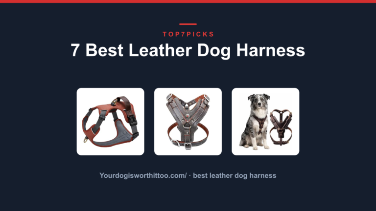 7 Best Leather Dog Harness