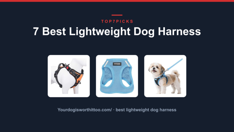 7 Best Lightweight Dog Harness