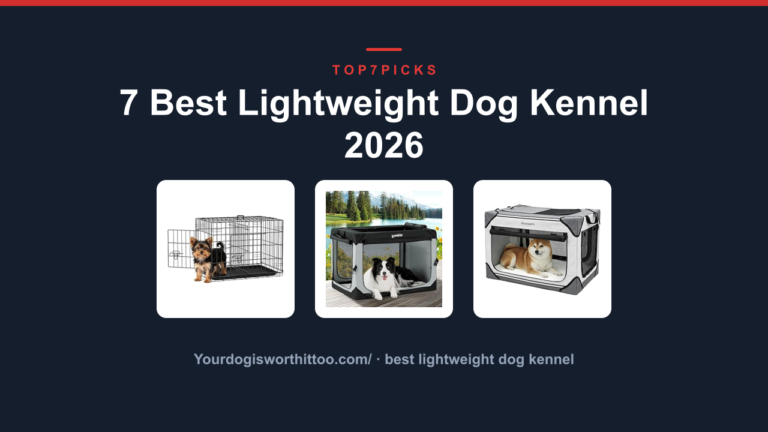 7 Best Lightweight Dog Kennel 2026