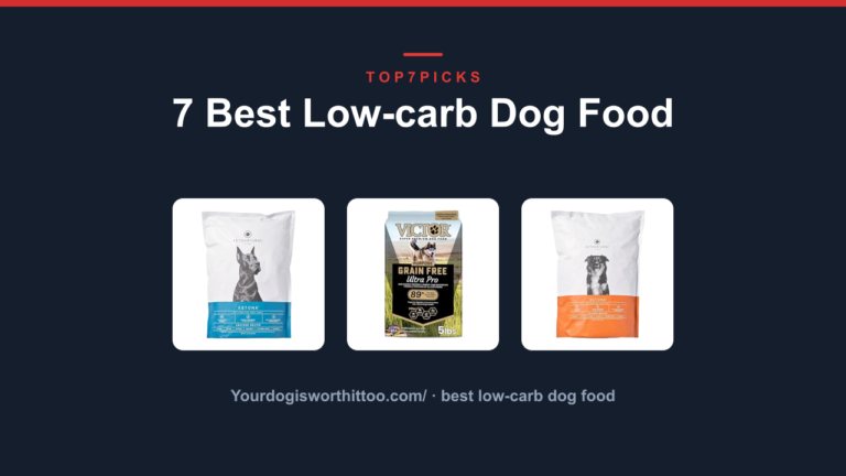 7 Best Low-carb Dog Food