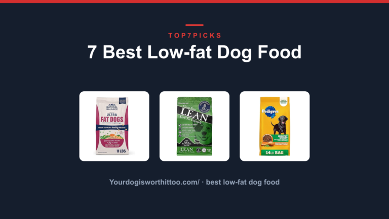 7 Best Low-fat Dog Food