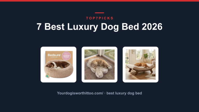 7 Best Luxury Dog Bed 2026