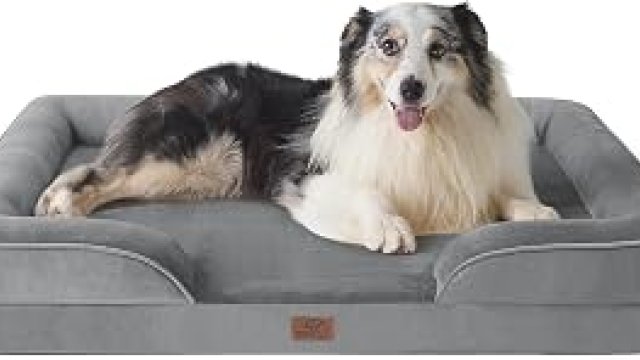 7 Best Luxury Dog Bed 2026