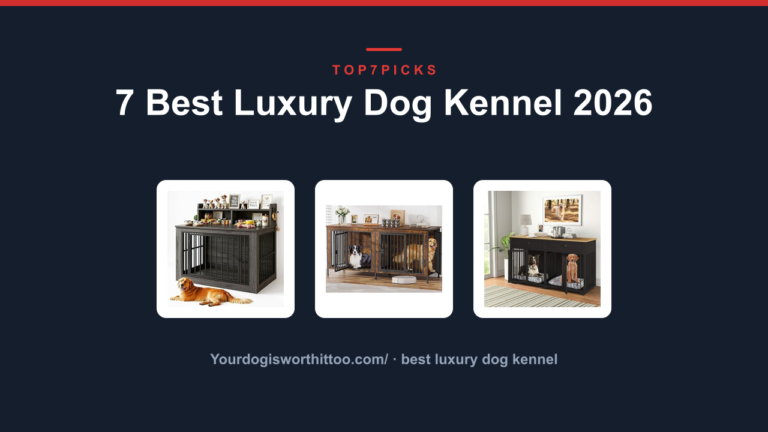 7 Best Luxury Dog Kennel 2026