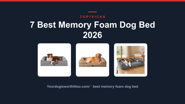 7 Best Memory Foam Dog Bed 2026