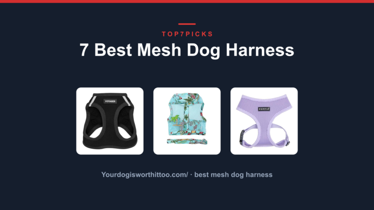 7 Best Mesh Dog Harness