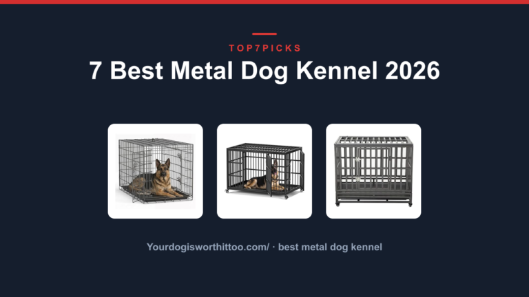 7 Best Metal Dog Kennel 2026