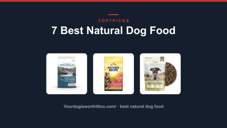 7 Best Natural Dog Food