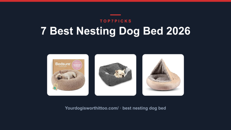 7 Best Nesting Dog Bed 2026