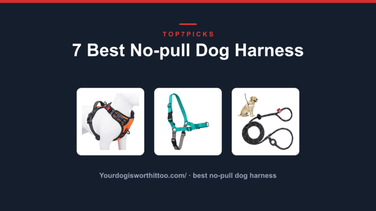 7 Best No-pull Dog Harness