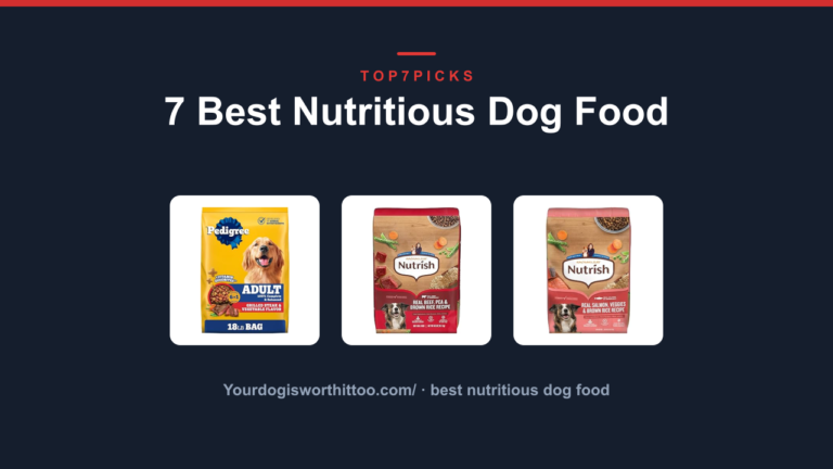 7 Best Nutritious Dog Food