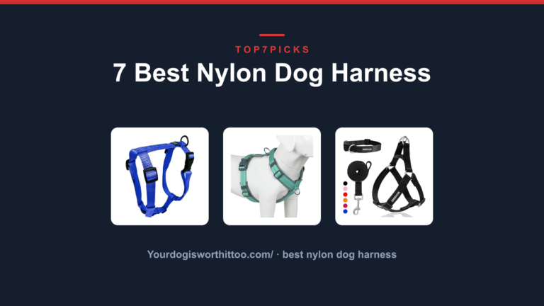 7 Best Nylon Dog Harness
