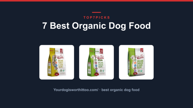 7 Best Organic Dog Food