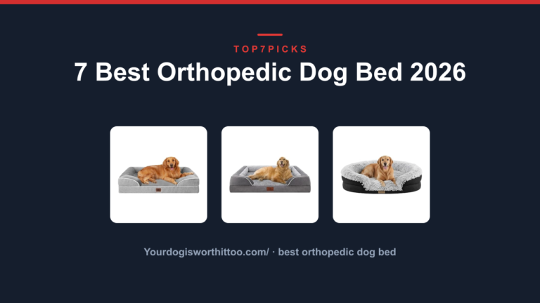 7 Best Orthopedic Dog Bed 2026