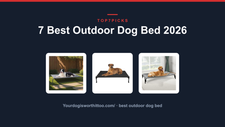 7 Best Outdoor Dog Bed 2026