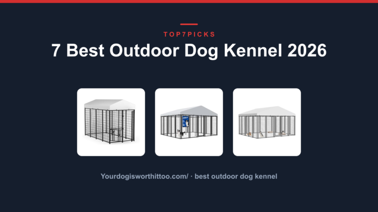 7 Best Outdoor Dog Kennel 2026