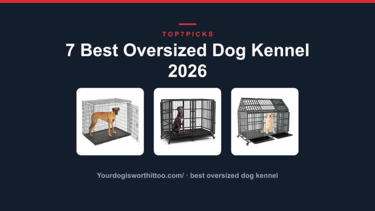 7 Best Oversized Dog Kennel 2026