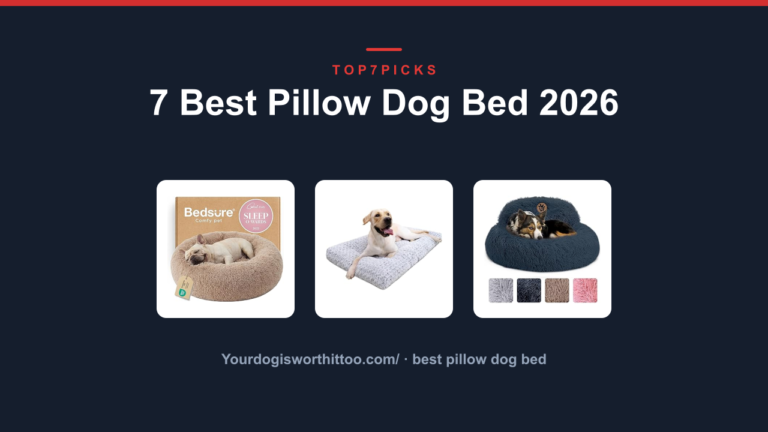 7 Best Pillow Dog Bed 2026