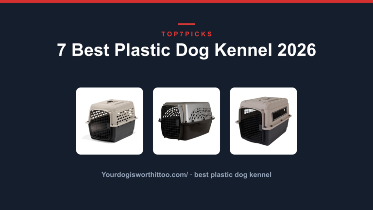 7 Best Plastic Dog Kennel 2026
