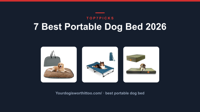 7 Best Portable Dog Bed 2026