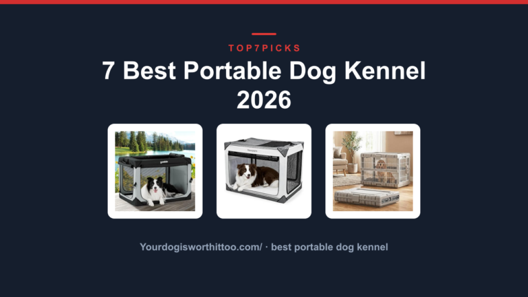 7 Best Portable Dog Kennel 2026