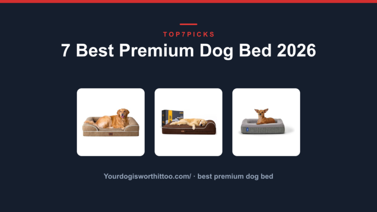 7 Best Premium Dog Bed 2026