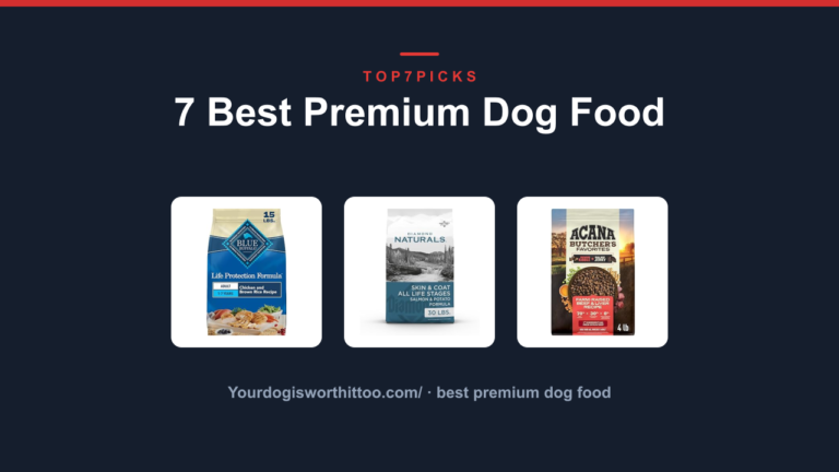 7 Best Premium Dog Food