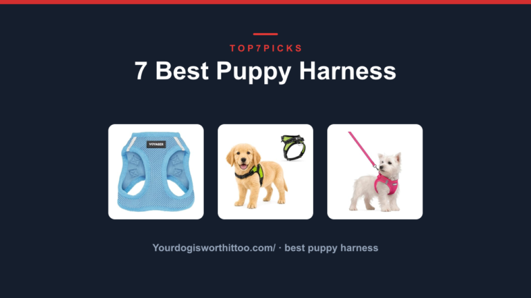 7 Best Puppy Harness