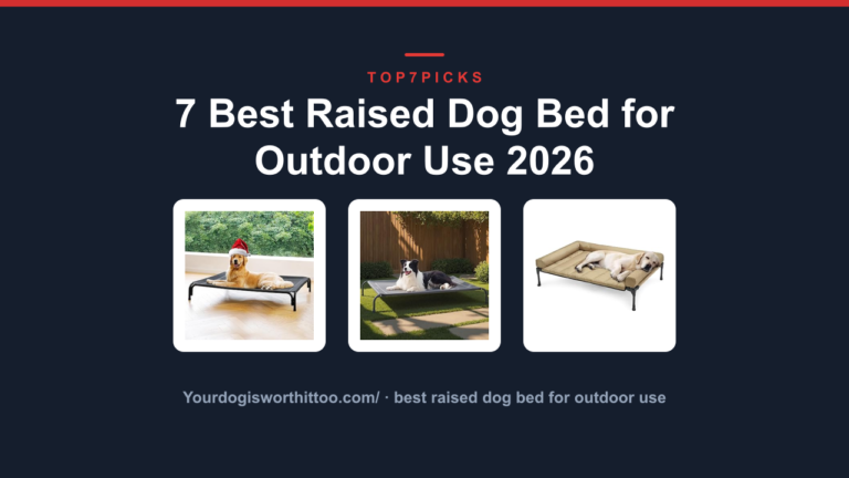 7 Best Raised Dog Bed for Outdoor Use 2026
