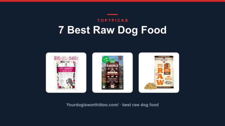 7 Best Raw Dog Food