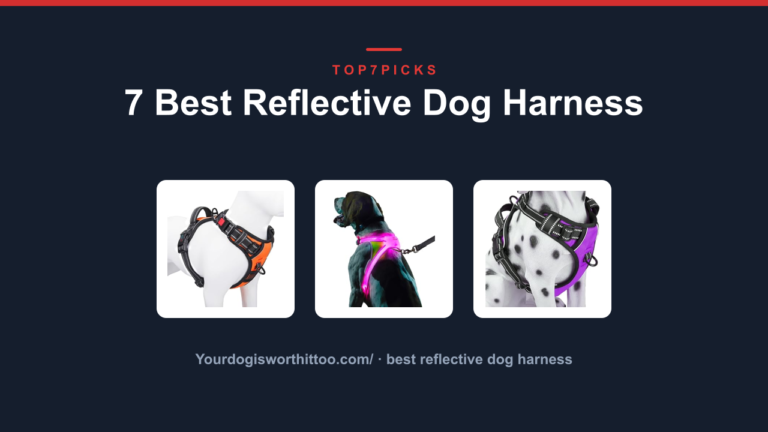 7 Best Reflective Dog Harness