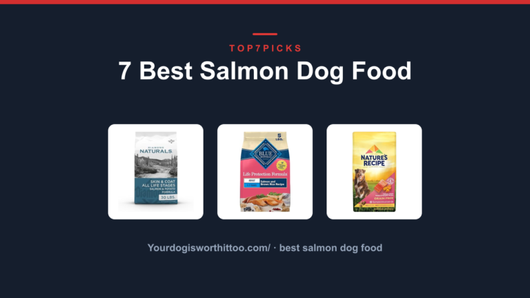 7 Best Salmon Dog Food