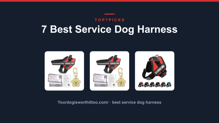 7 Best Service Dog Harness