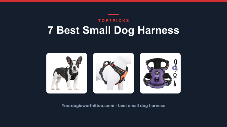 7 Best Small Dog Harness