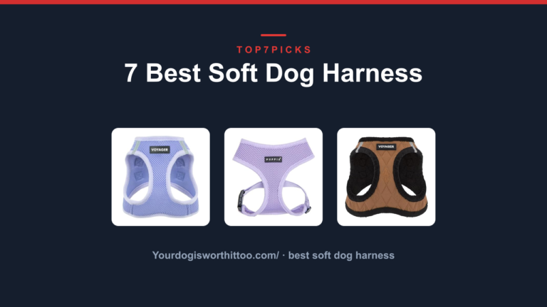 7 Best Soft Dog Harness