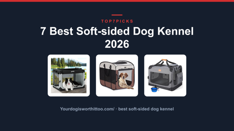 7 Best Soft-sided Dog Kennel 2026
