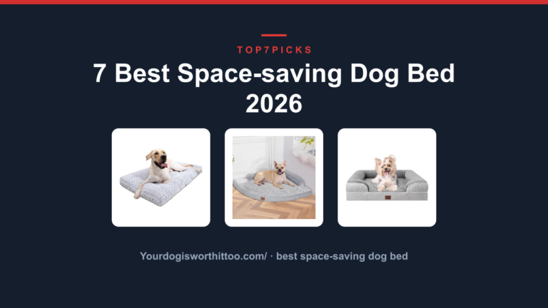 7 Best Space-saving Dog Bed 2026
