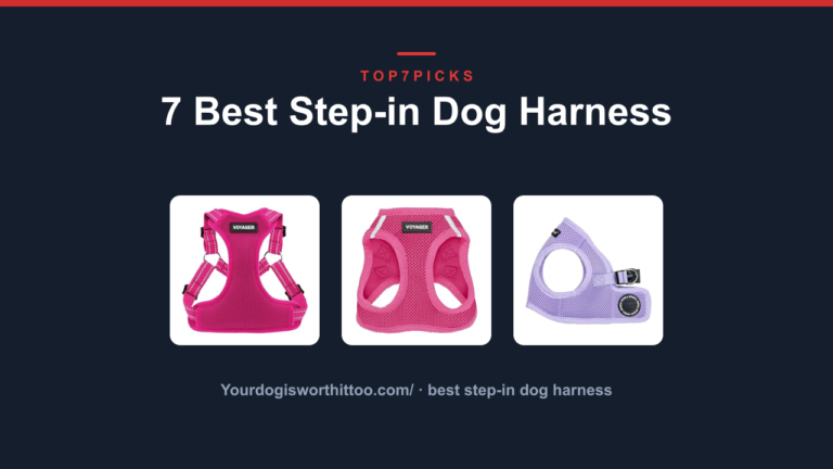 7 Best Step-in Dog Harness