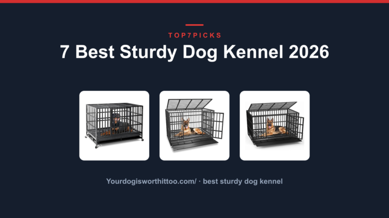 7 Best Sturdy Dog Kennel 2026