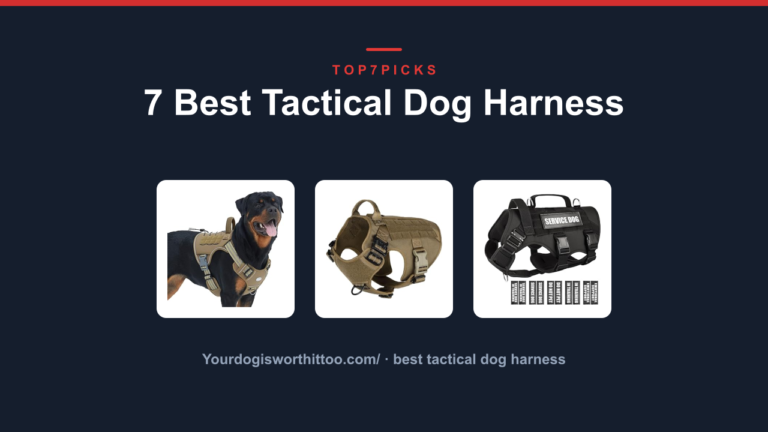 7 Best Tactical Dog Harness