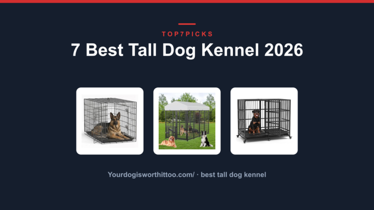 7 Best Tall Dog Kennel 2026