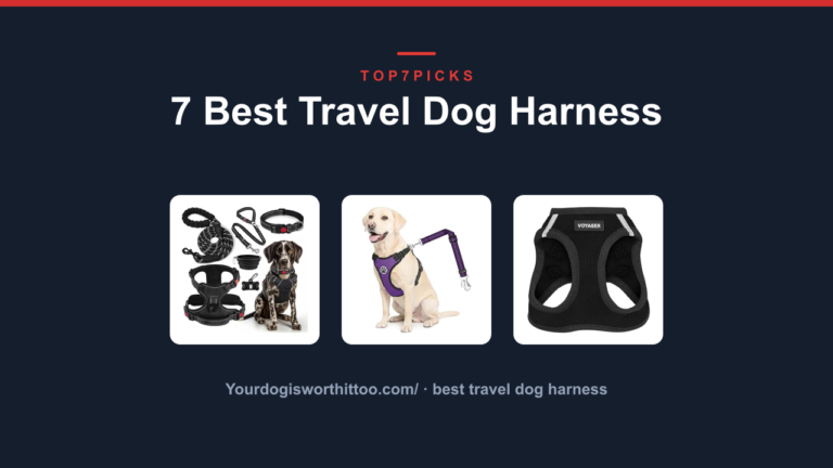 7 Best Travel Dog Harness