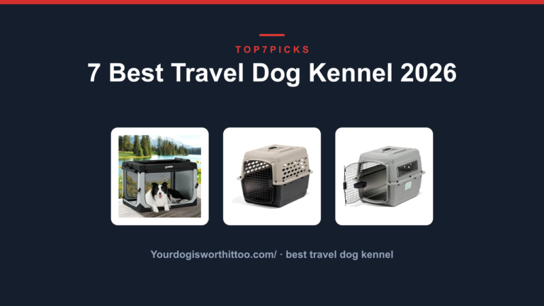 7 Best Travel Dog Kennel 2026